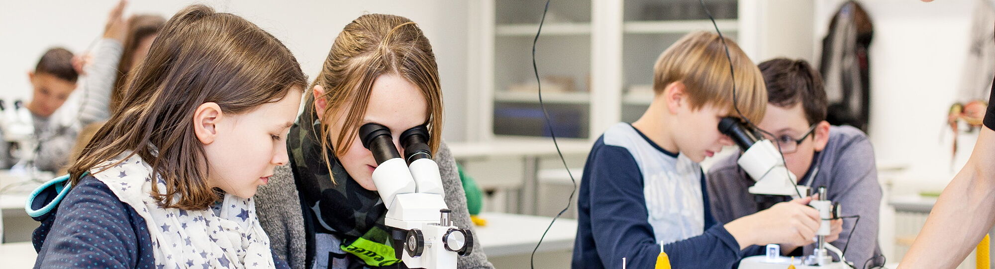 Naturwissenschaften Naturwissenschaften